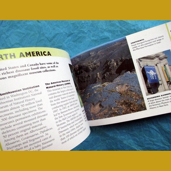 Book - The Little Guides: Dinosaurs, ed. by Dr. Paul Willis - Picture 6 of 16